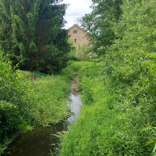 The mill and stream in Budyně nad Ohří, Czech Republic